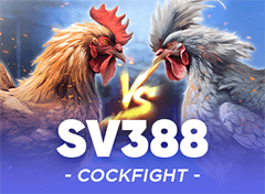 SV388 Cockfight