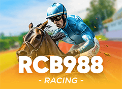 Virtual Racing